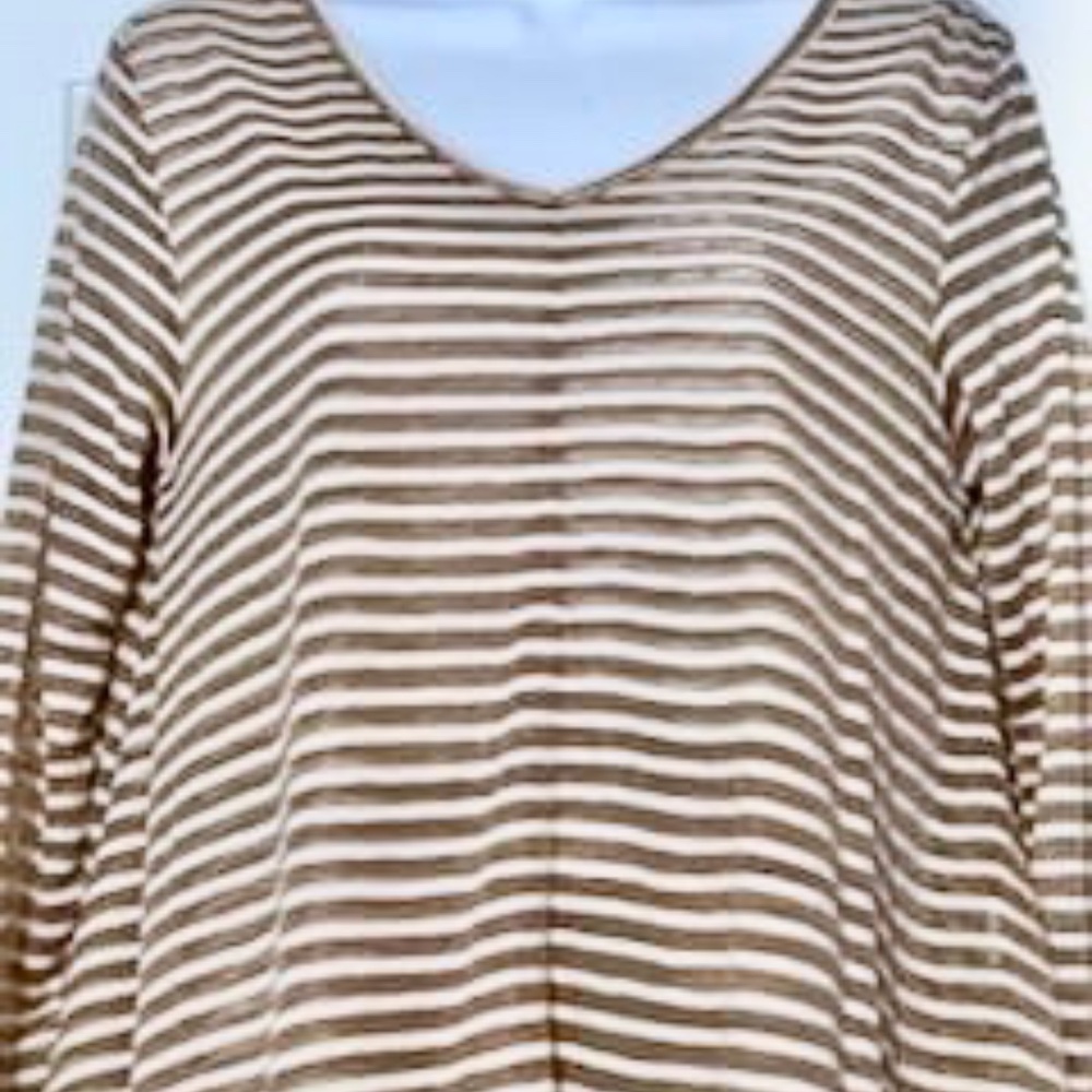 NWT Studio JPR Tan/Cream Stripe VNeck Blouse